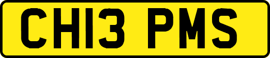 CH13PMS