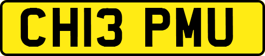 CH13PMU