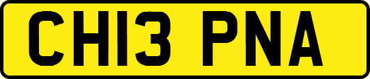 CH13PNA
