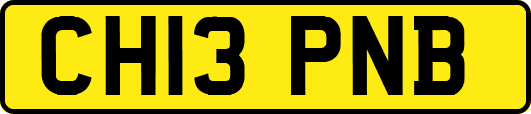 CH13PNB