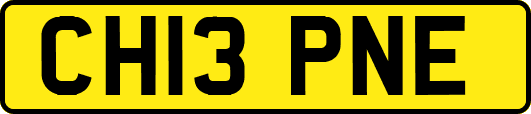 CH13PNE