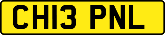 CH13PNL