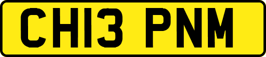 CH13PNM