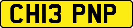 CH13PNP