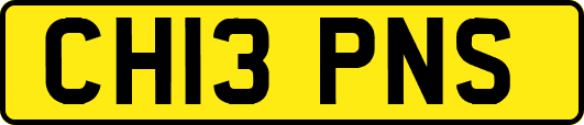 CH13PNS