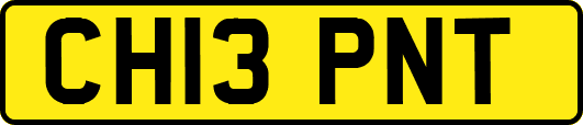 CH13PNT