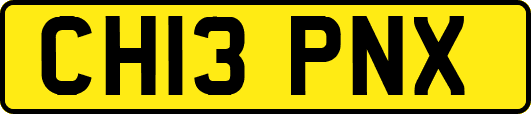 CH13PNX