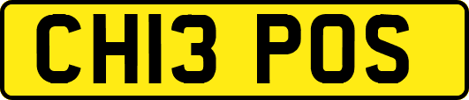 CH13POS