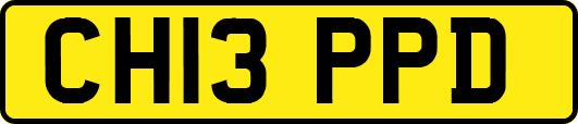 CH13PPD