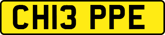 CH13PPE
