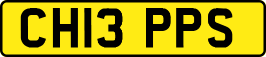 CH13PPS
