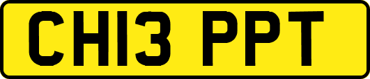 CH13PPT