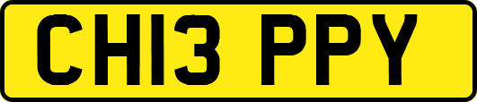 CH13PPY