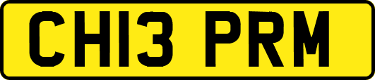 CH13PRM