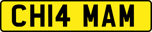 CH14MAM