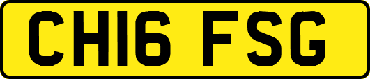 CH16FSG
