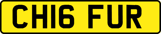 CH16FUR