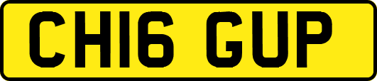 CH16GUP
