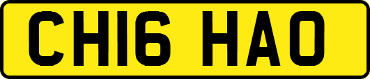 CH16HAO
