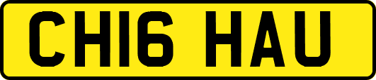 CH16HAU