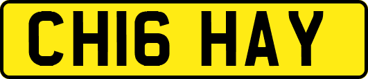 CH16HAY