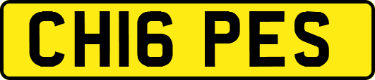 CH16PES