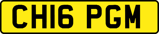 CH16PGM