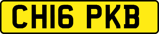 CH16PKB