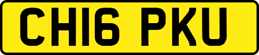 CH16PKU