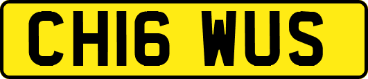 CH16WUS