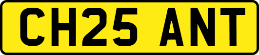 CH25ANT