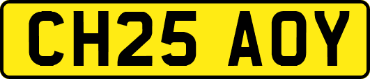 CH25AOY