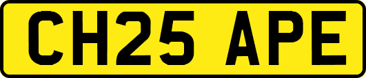 CH25APE