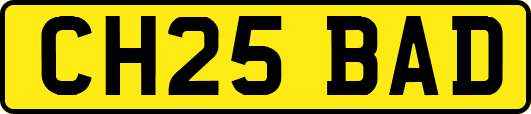 CH25BAD