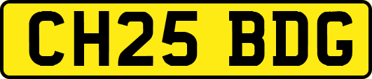 CH25BDG
