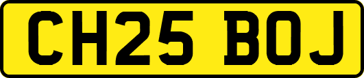 CH25BOJ