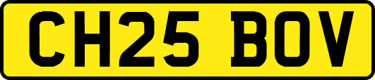 CH25BOV
