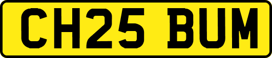CH25BUM