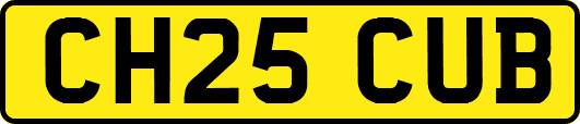 CH25CUB