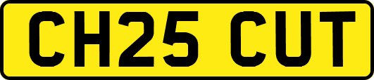 CH25CUT
