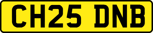 CH25DNB