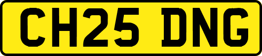 CH25DNG