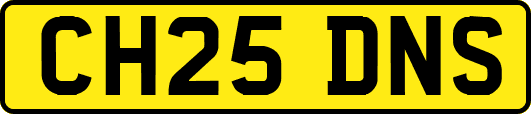 CH25DNS