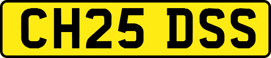 CH25DSS