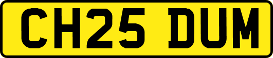 CH25DUM