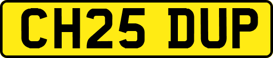 CH25DUP