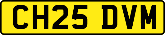 CH25DVM