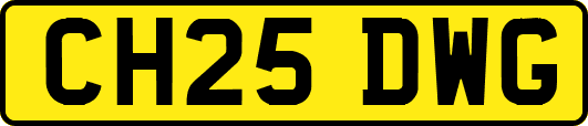 CH25DWG
