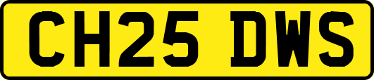 CH25DWS
