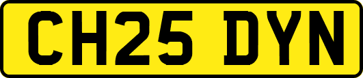 CH25DYN